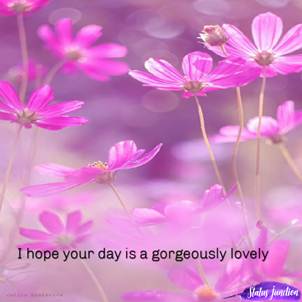 I hope your day is a gorgeously lovely…मुझे उम्मीद है कि आपका दिन बहुत प्यारा हो