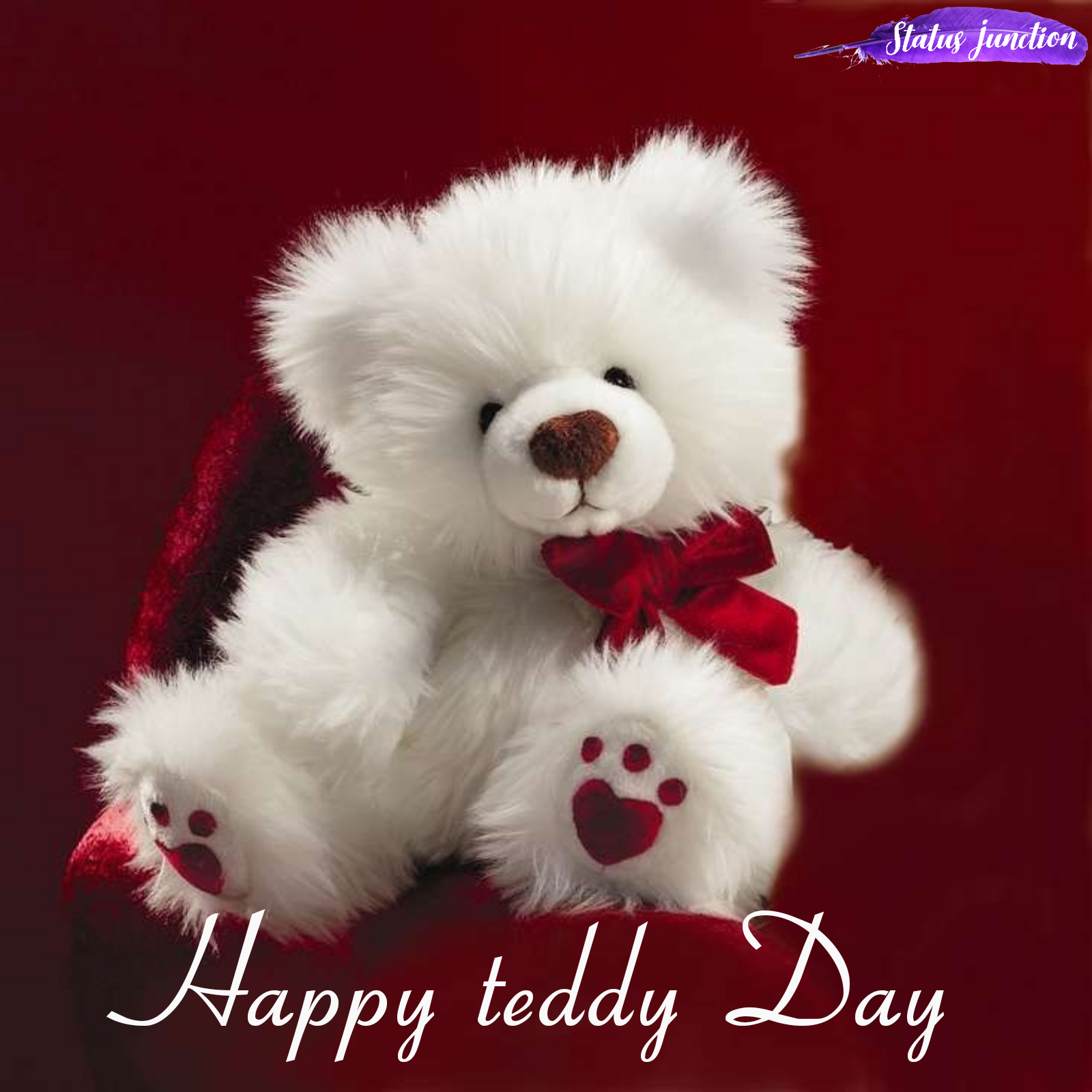 Valentine Day Teddy Day